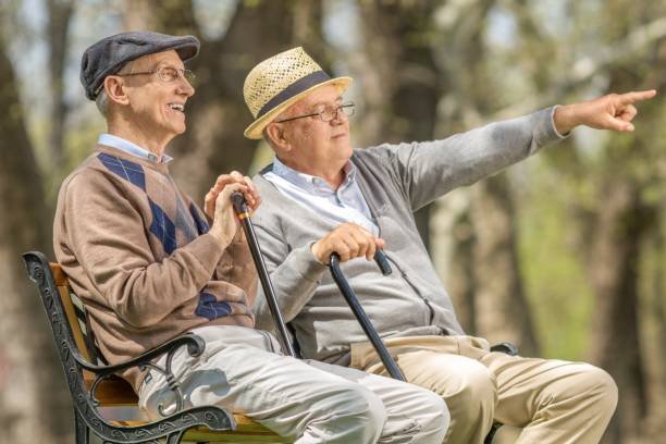 istock Elderly man showing something in the distance to another elderly man 928395570