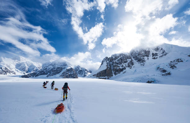 Mountaineers climbing Denali pulling a sled. Mountaineers climbing Denali pulling a sled over the glacier on the West Buttress route. On a beautiful sunny day, making there way up on Denali. denali mountain stock pictures, royalty-free photos & images