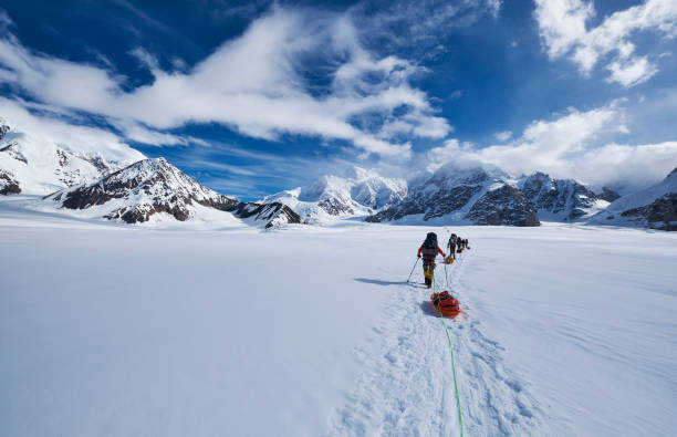 Mountaineers climbing Denali pulling a sled. Mountaineers climbing Denali pulling a sled over the glacier on the West Buttress route. On a beautiful sunny day, making there way up on Denali. denali mountain stock pictures, royalty-free photos & images