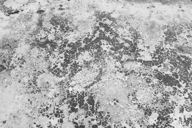 istock concrete black and white old wall texture for background 928399724