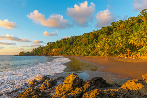 corcovado nationalpark sonnenuntergang - corcovado stock-fotos und bilder