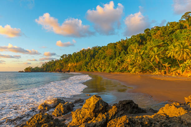 Corcovado National Park Sunset Sunset along the Pacific Coast of Costa Rica in the Osa Peninsula inside the Corcovado National Park with a view over tropical rainforest, Central America. limon province photos stock pictures, royalty-free photos & images