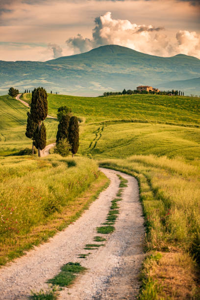 istock Sunny afternoon in Tuscany 928414358