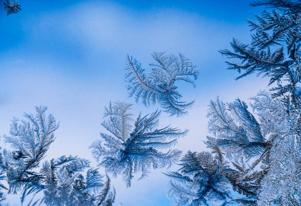 istock Beautiful  ice pattern on window in winter. Frosty winter pattern at  glass. 928426820