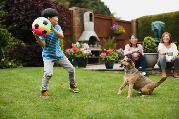 Little boy is playing fetch in the garden with his pet dog and a ball. His mother and grandmother are watching with a cup of tea.