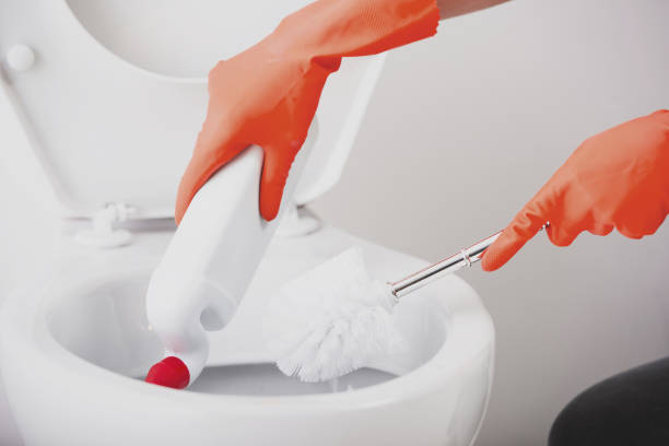 istock Housewife. Toilet. 928430908