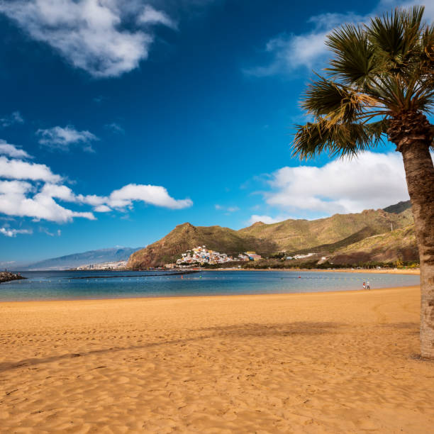 istock Playa de las Teresitas Beach, Tenerife 928430974