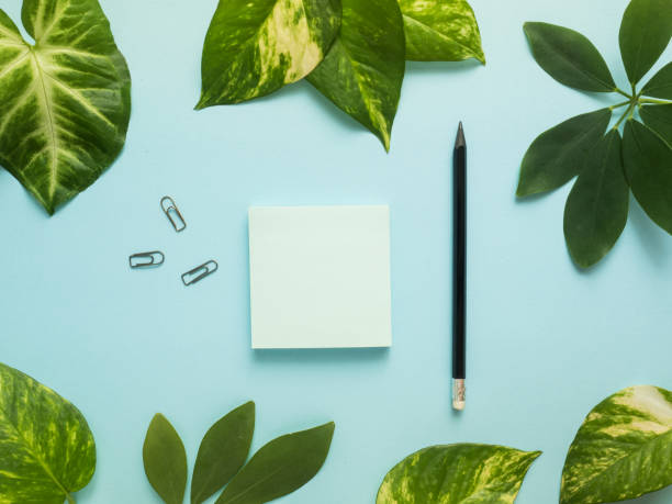 istock Business flat lay with copy space, calculator, pencil, Notepad on colorful blue background Plants green leaves 928438612