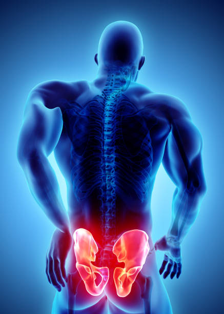 istock Hip painful skeleton x-ray, 3D illustration. 928441426