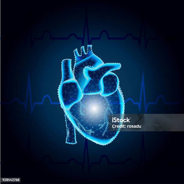 Human Heart Polygon On Ecg Blue Mesh 2 Stock Illustration