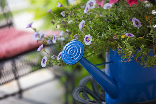 istock Watering Can with Flowers 928445088