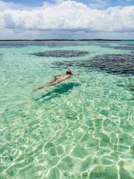 attractive woman snorkeling in crystal clear water on sunny day, Maragogi, Alagoas, Brazil
