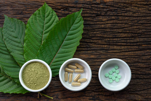 Mitragyna speciosa (kratom) leaves with medicine products in powder, capsules and tablet in white ceramic bowl with wooden texture on background stock photo