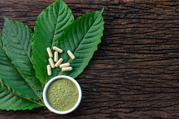 Mitragyna speciosa or kratom leaves with medicinal products in capsules and powder in white ceramic bowl and wooden table stock photo