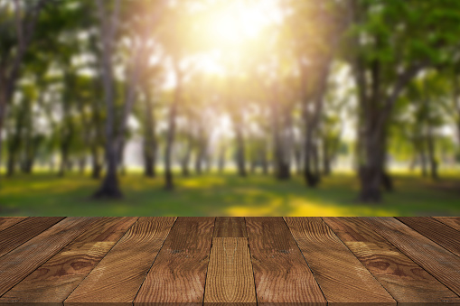 Empty brown wooden table and blurry forest in background.