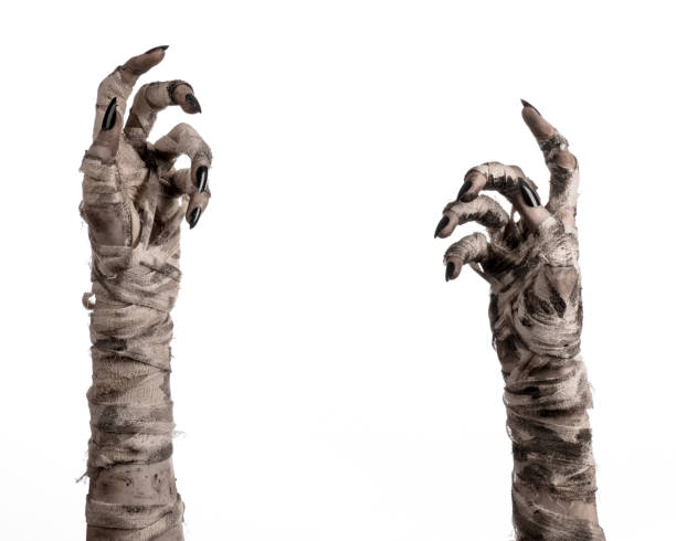 Halloween theme: terrible old mummy hands on a white background Halloween theme: terrible old mummy hands on a white background mummified stock pictures, royalty-free photos & images