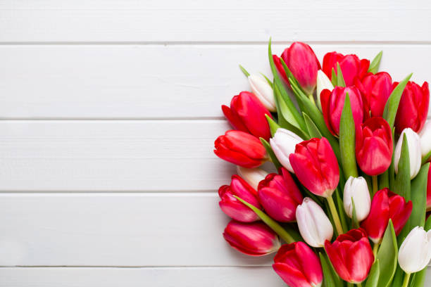 istock Springt time. Red tulip bouquet on the white wooden background. 928462596