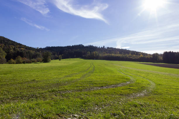istock green lawn after bringing out liquid manure by tractor 928462668