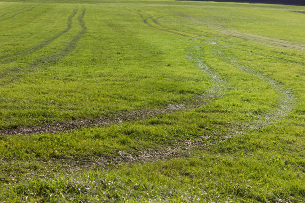 istock green lawn after bringing out liquid manure by tractor 928462680