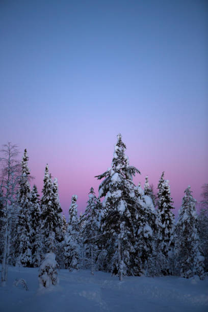 istock Colorful Winter landscape with heavy snow 928462764