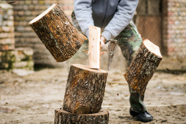 istock lumberjack cutting wood 928469378