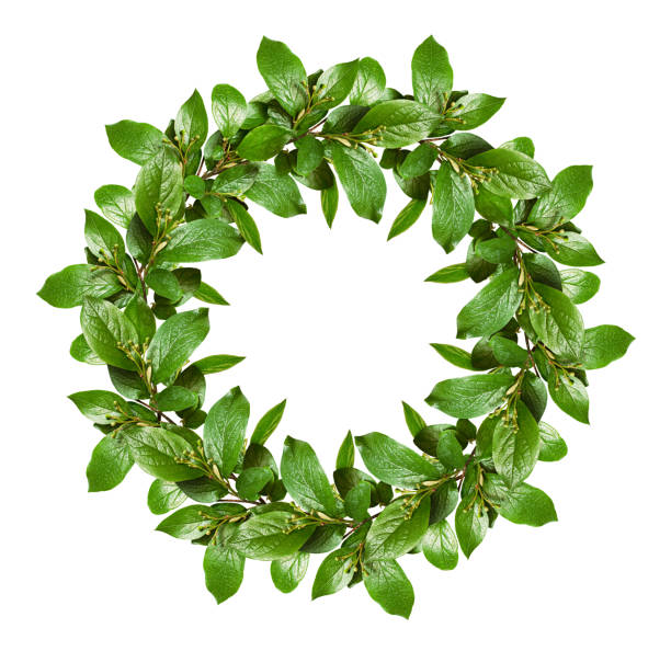 istock Spring wreath with green leaves and small flower buds 928473680