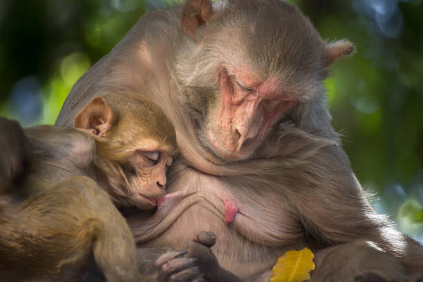 istock Mother and Child 928477038