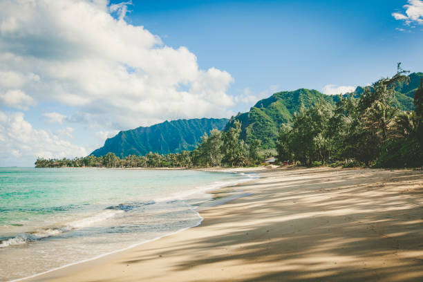 playa vacía en isla de oahu, hawai islas - south pacific ocean island polynesia tropical climate fotografías e imágenes de stock
