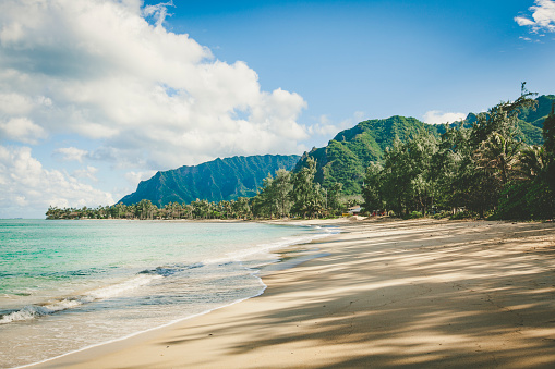 lonely beach on oahu island, hawaii islands.