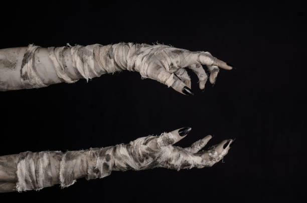 Halloween theme: terrible old mummy hands on a black background