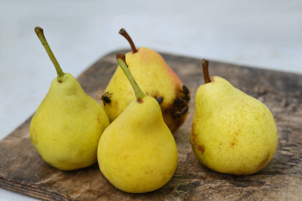 istock Four ripe yellow pears 928505512