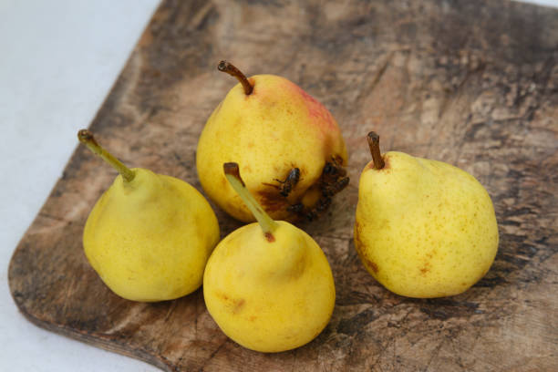 istock Four ripe yellow pears 928505630