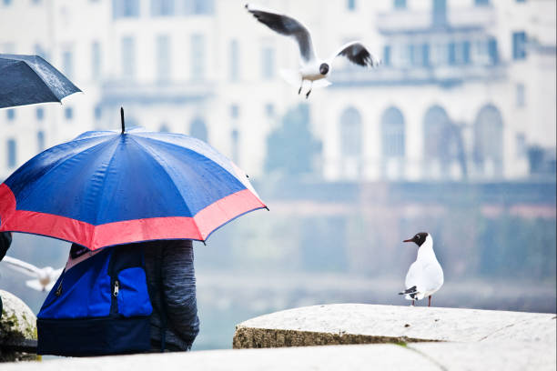 People protecting themselves with the umbrella from the rain