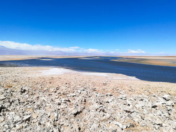 istock Flamingo natural reserve, Chile 928516826