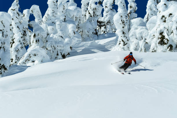istock Skiing fresh powder on a sunny day 928560406