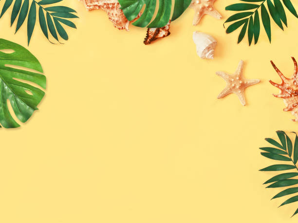istock Tropical Background. Palm Trees Branches with starfish and seashell on yellow background. Travel. Copy space. 928562798