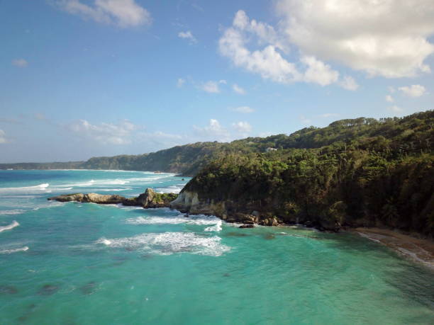 Tropical rocky turquoise beach in Dominican Republic stock photo