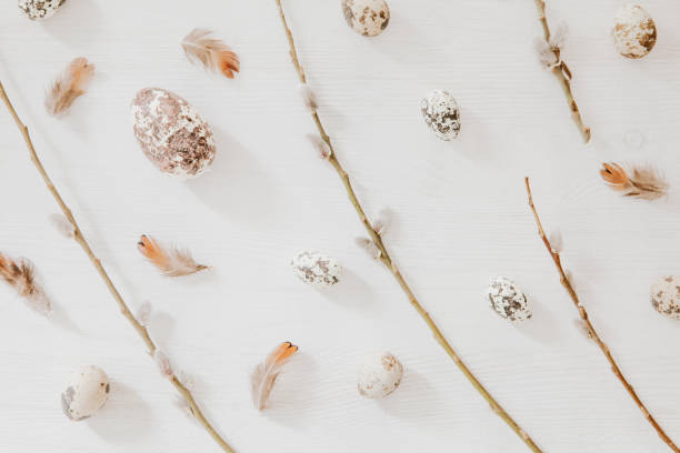 istock Easter pattern from little eggs and willow on white wooden background with feathers 928569798