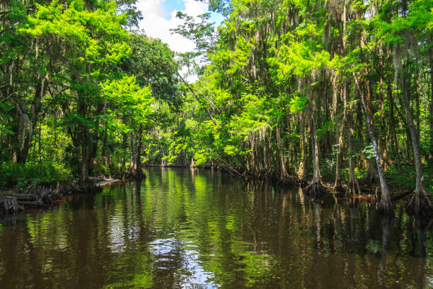 istock Bend in the Shoreline of Shingle Creek 928570044