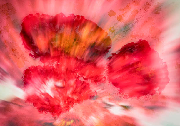 istock Red background from hand drawn colorful poppys close-up on paper, summer shades. Abstract watercolor, paper grain texture. Art design for vivid backdrop 928570552