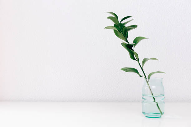 istock Single green leaf plant in vase on white background. Concept and minimalism. 928572880