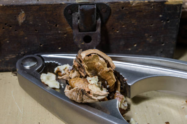 a cracked walnut with a nutcracker on a transparent background