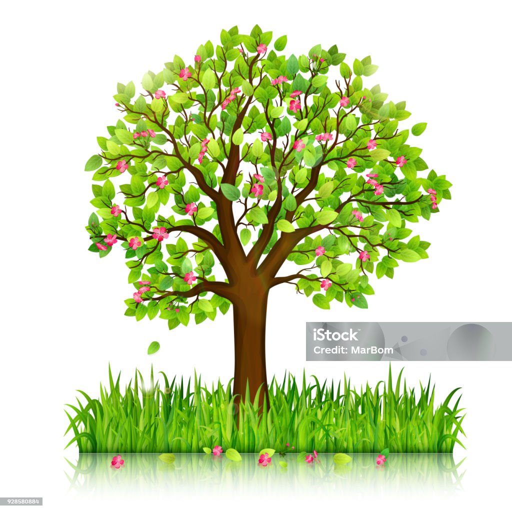 Spring Trees Vector Art Spring Nature Background With Blooming Tree And Green Grass Vector ...