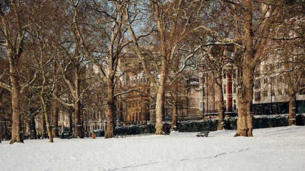 istock Snow in a London Park 928583796