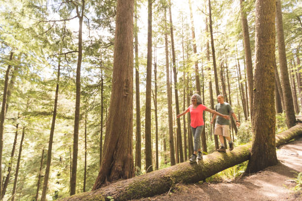 istock Senior Couple on a Day Hike in Forest 928594292