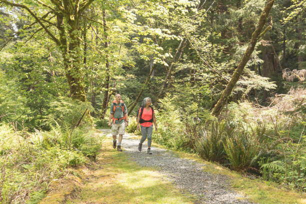 istock Senior Couple Hiking in the Forest 928594298