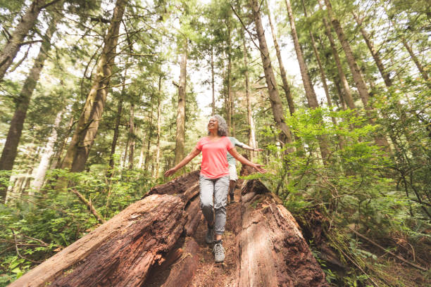 istock Senior couple on a day hike in the forest 928594300