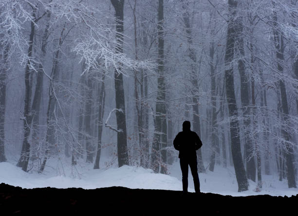 istock Mountaineer in a forest with a big snowfall. 928594610