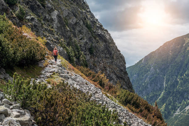 istock Forest autumn landscape in the mountains. High Tatras 928616876