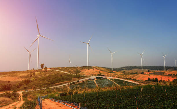 istock wind turbines on the hill with sunset. power energy 928633652